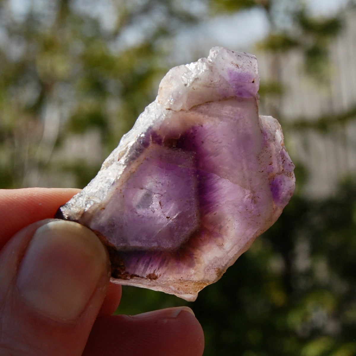 Chevron Amethyst Trapiche Quartz Crystal Slice from Zambia