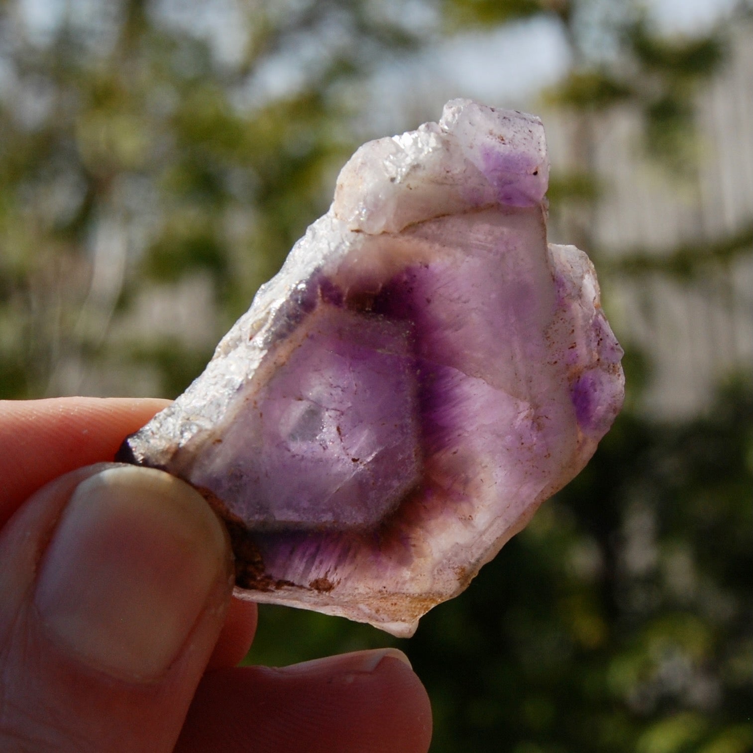 Chevron Amethyst Trapiche Quartz Crystal Slice from Zambia