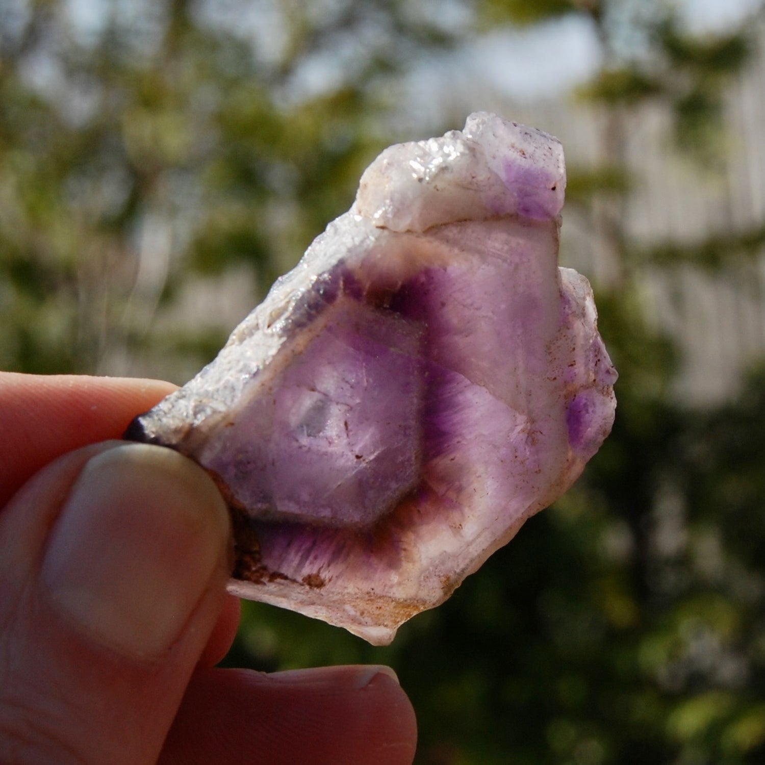 Chevron Amethyst Trapiche Quartz Crystal Slice from Zambia