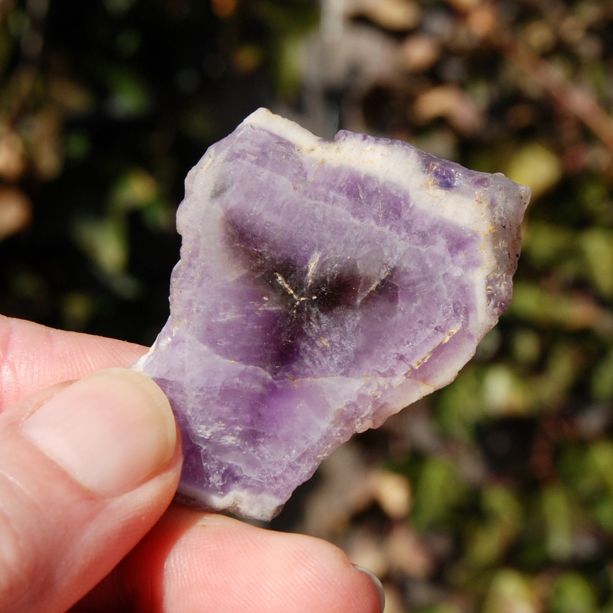Chevron Amethyst Trapiche Quartz Crystal Slice, Zambia