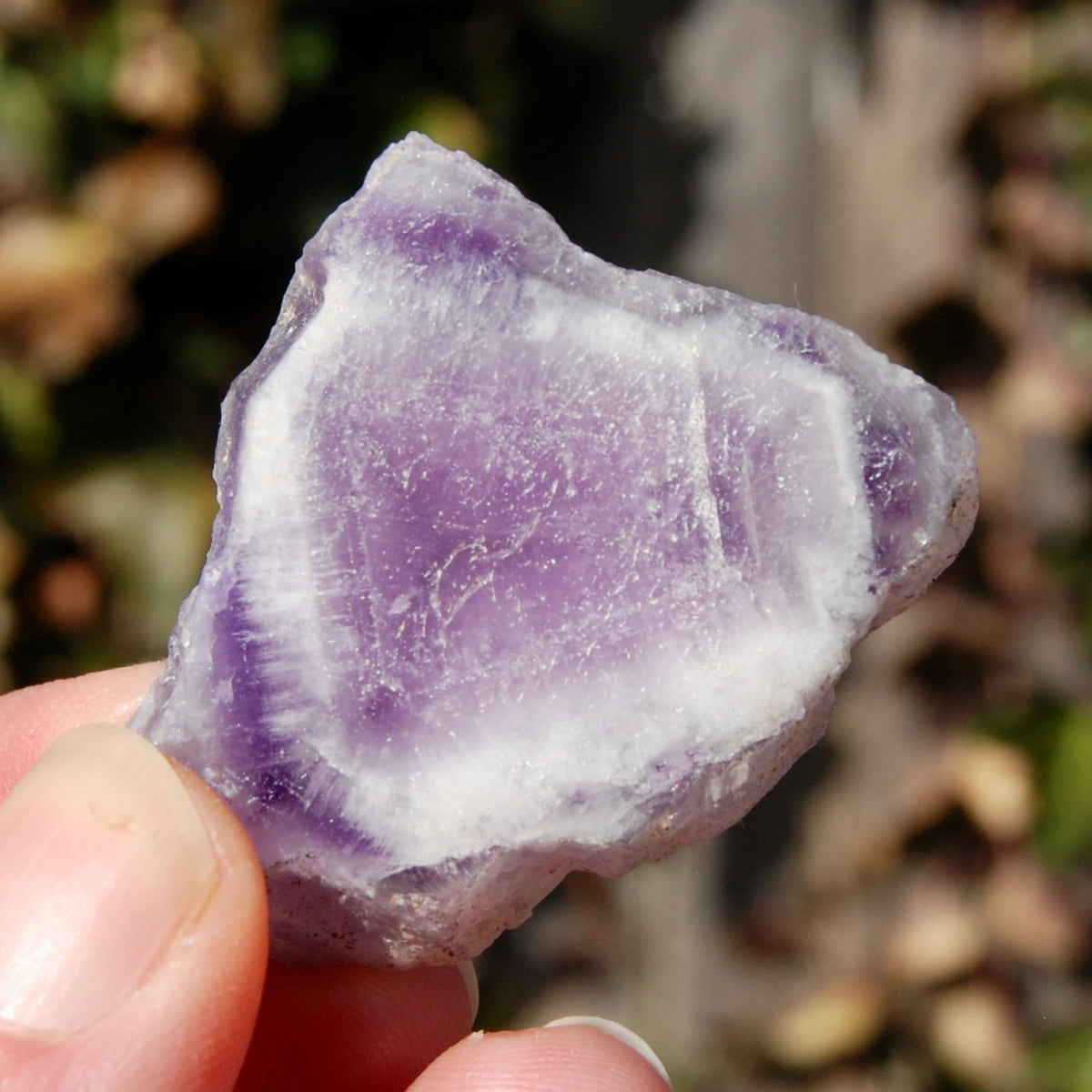 Chevron Amethyst Trapiche Quartz Crystal Slice, Zambia