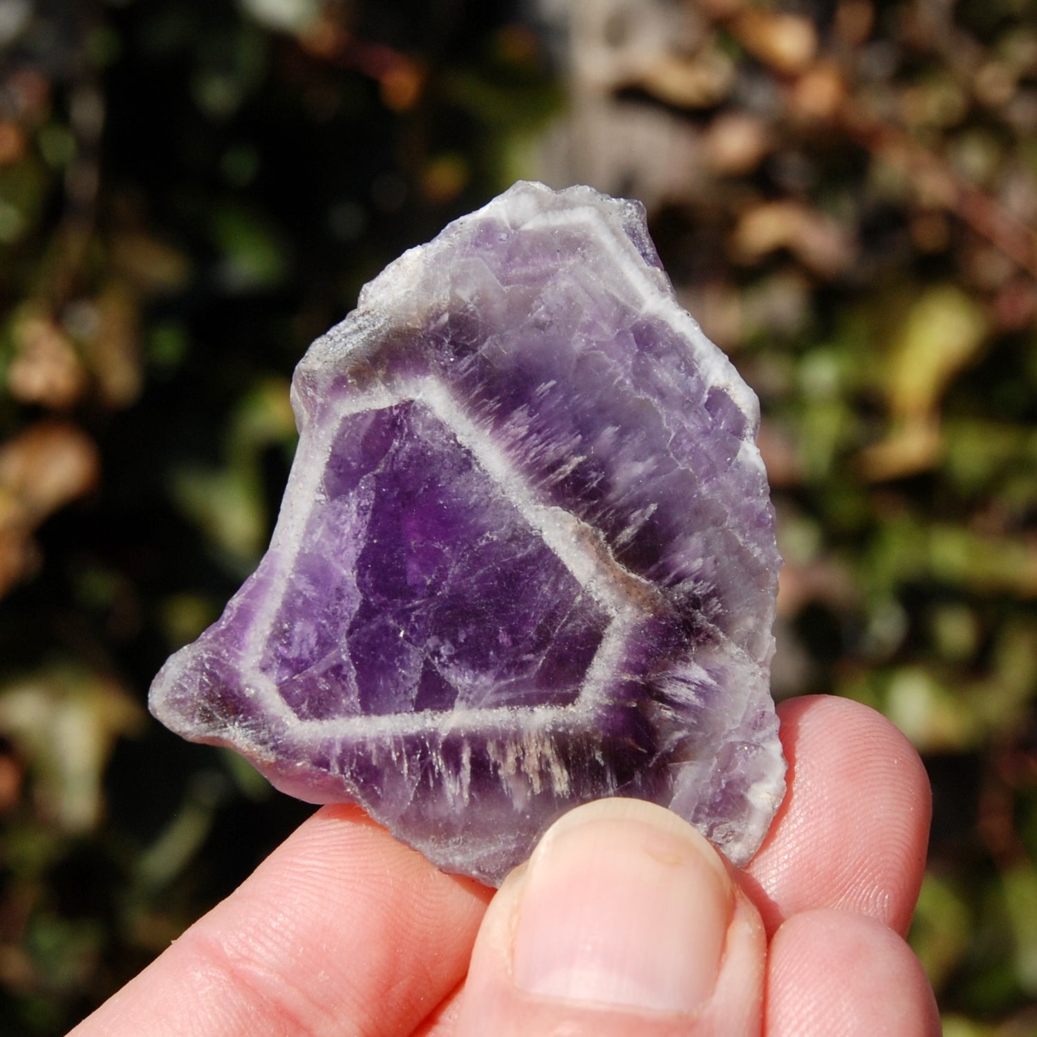 Chevron Amethyst Trapiche Quartz Crystal Slice, Zambia