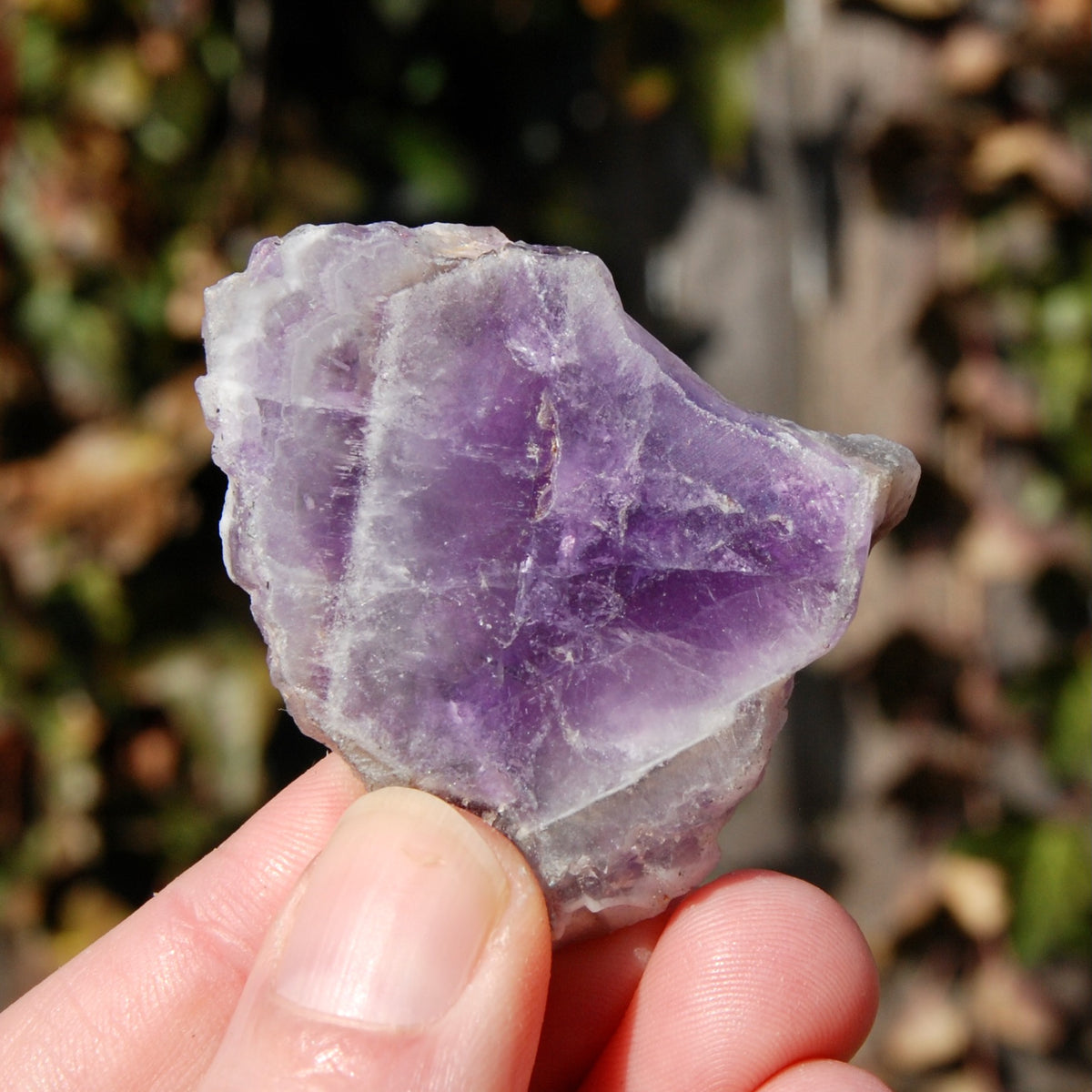Chevron Amethyst Trapiche Quartz Crystal Slice, Zambia