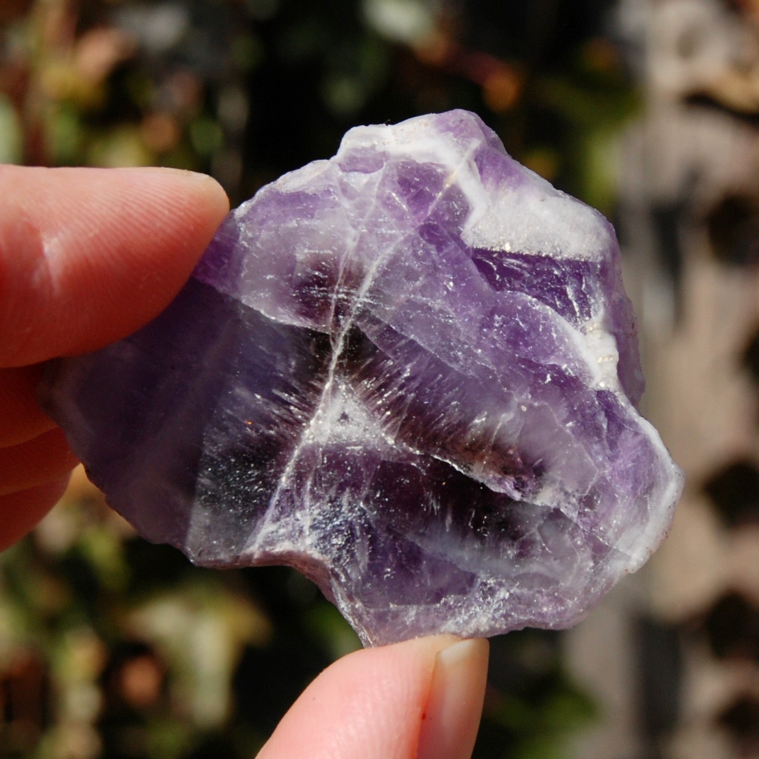 Chevron Amethyst Trapiche Quartz Crystal Slice from Zambia
