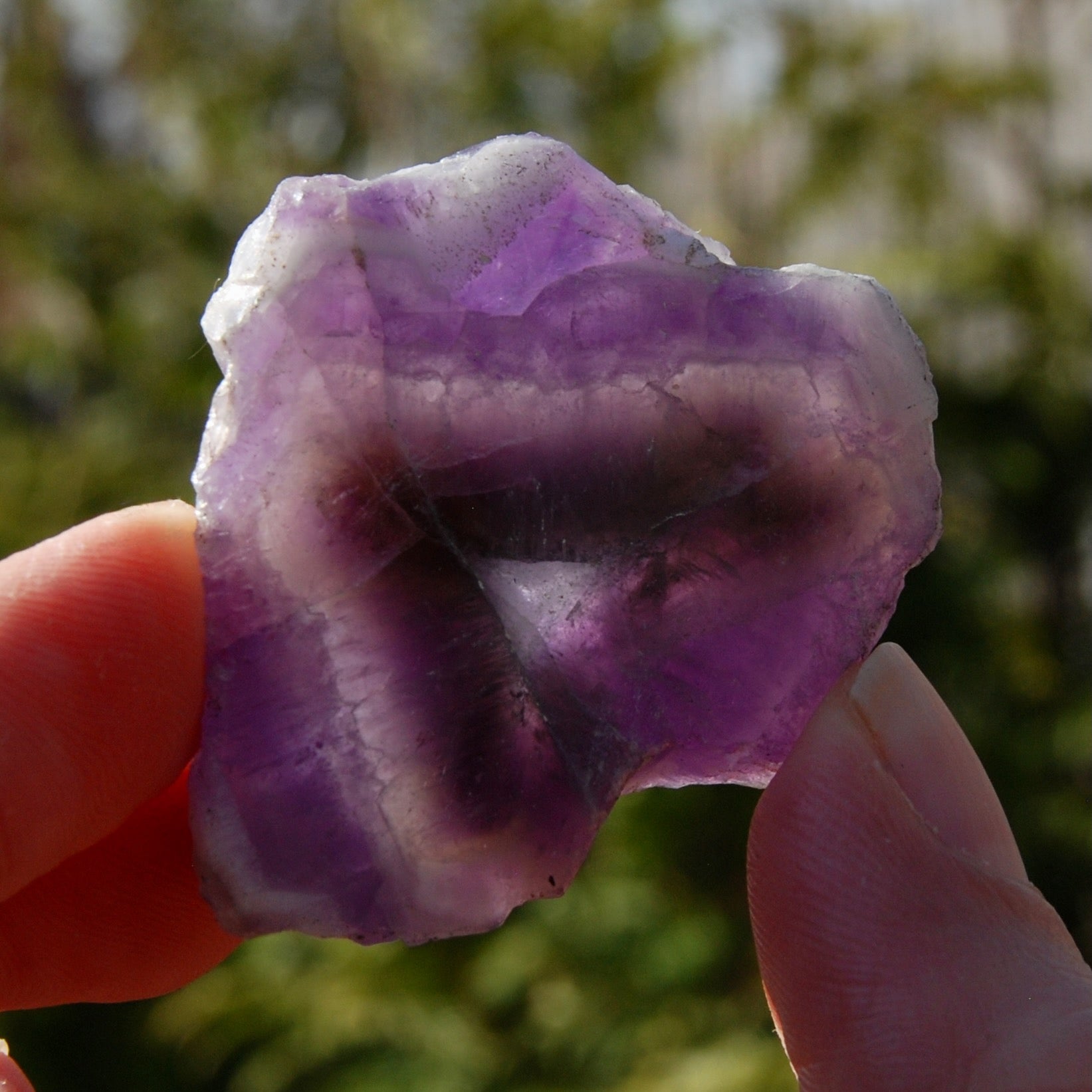 Chevron Amethyst Trapiche Quartz Crystal Slice from Zambia