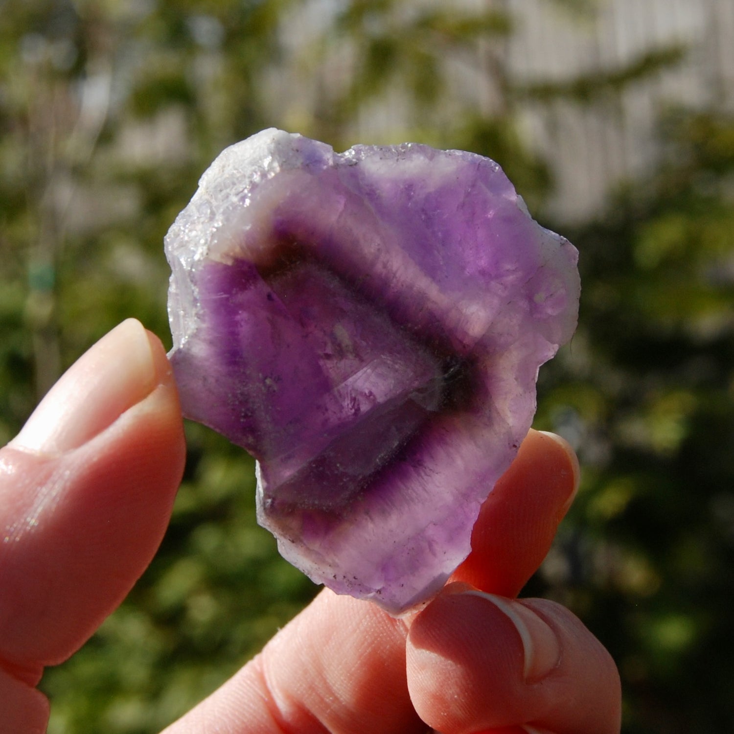 Chevron Amethyst Trapiche Quartz Crystal Slice from Zambia