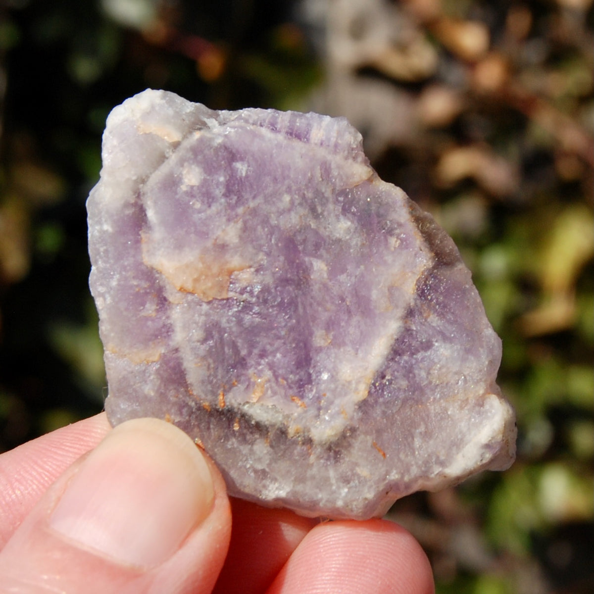 Chevron Amethyst Trapiche Quartz Crystal Slice from Zambia