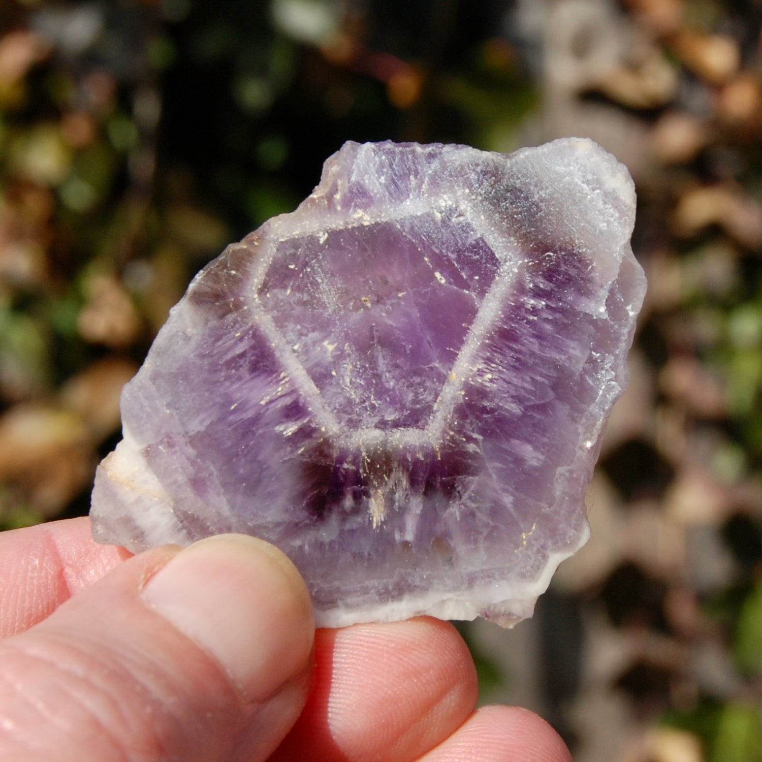 Chevron Amethyst Trapiche Quartz Crystal Slice from Zambia
