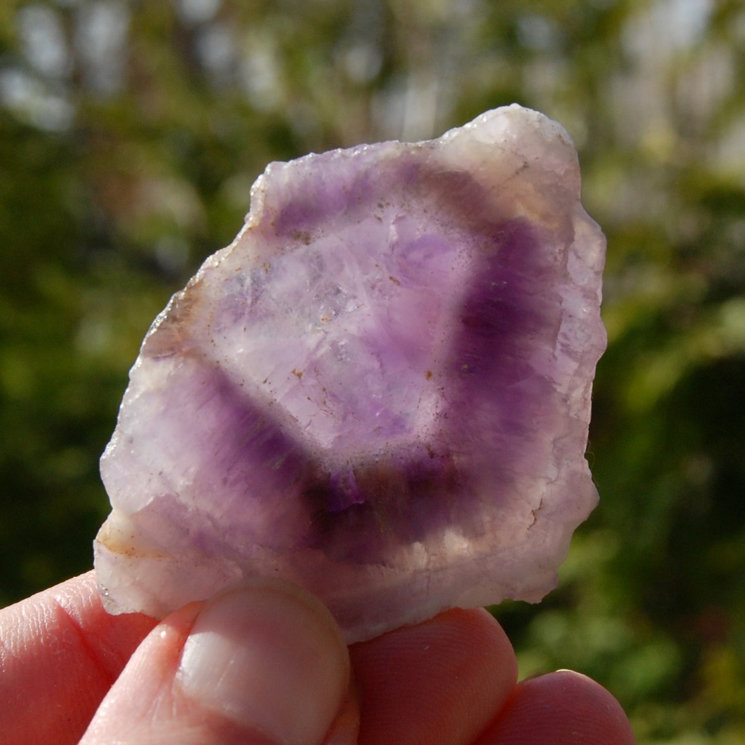 Chevron Amethyst Trapiche Quartz Crystal Slice from Zambia