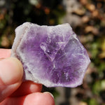 Chevron Amethyst Trapiche Quartz Crystal Slice from Zambia