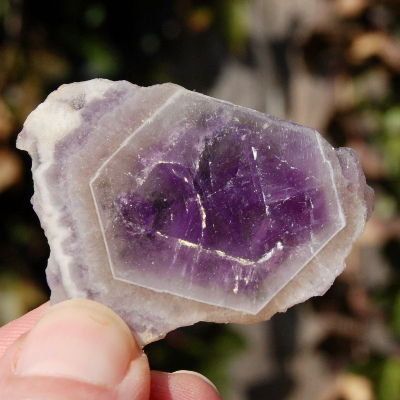 Chevron Amethyst Trapiche Quartz Crystal Slice, Zambia