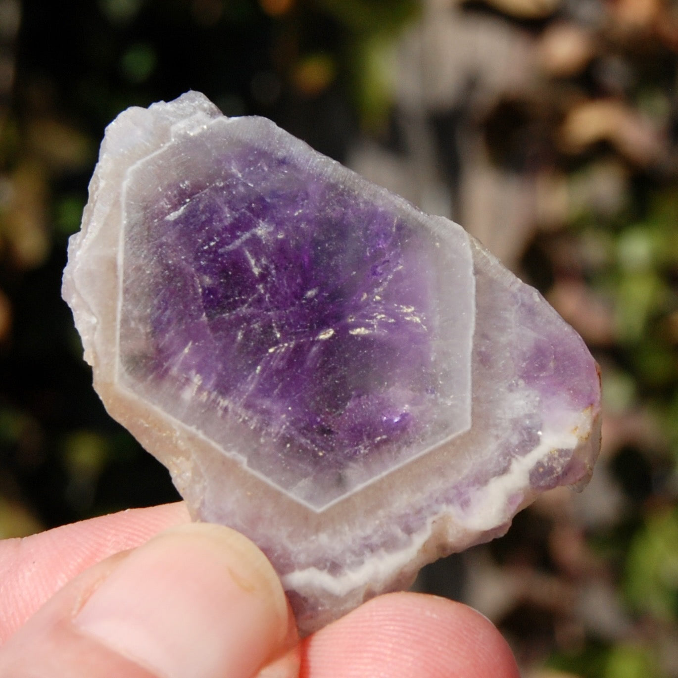 Chevron Amethyst Trapiche Quartz Crystal Slice, Zambia