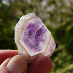 Chevron Amethyst Trapiche Quartz Crystal Slice, Zambia