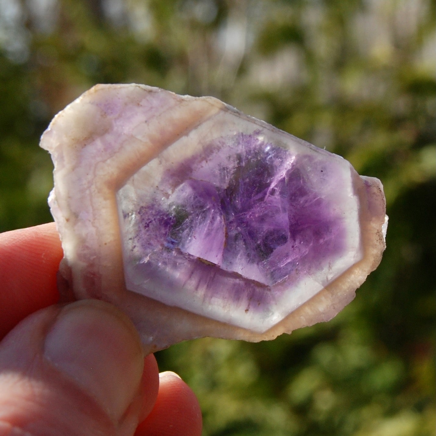 Chevron Amethyst Trapiche Quartz Crystal Slice, Zambia