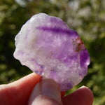 Chevron Amethyst Trapiche Quartz Crystal Slice from Zambia