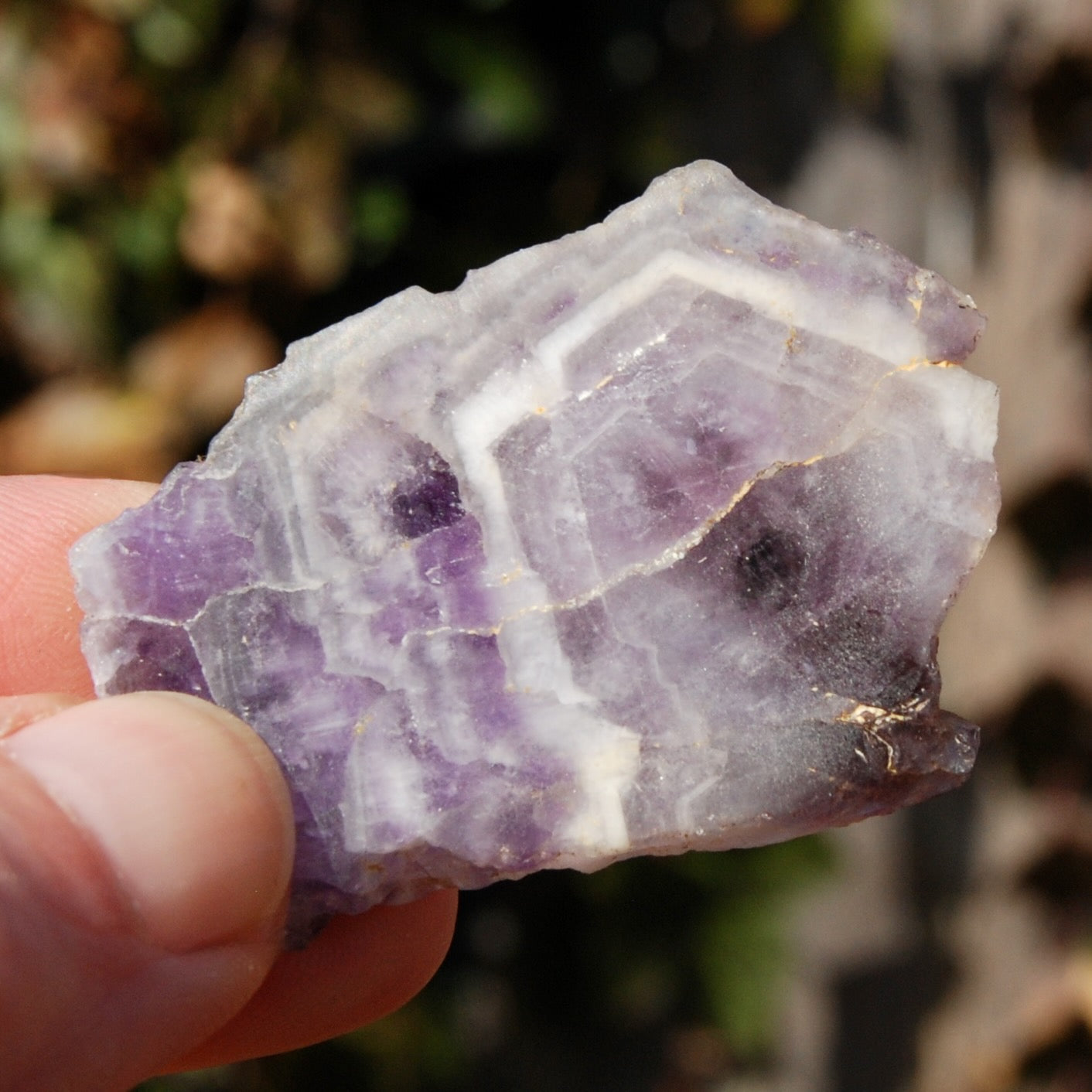 Chevron Amethyst Trapiche Quartz Crystal Slice from Zambia