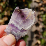 Chevron Amethyst Trapiche Quartz Crystal Slice from Zambia