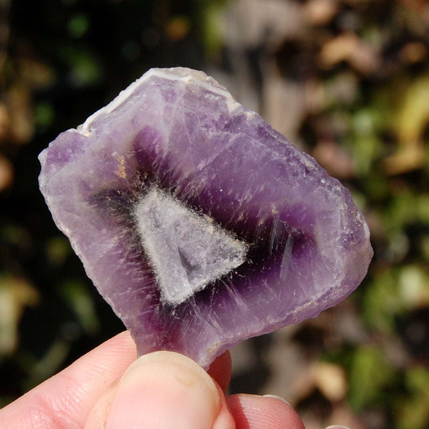 Chevron Amethyst Trapiche Quartz Crystal Slice from Zambia