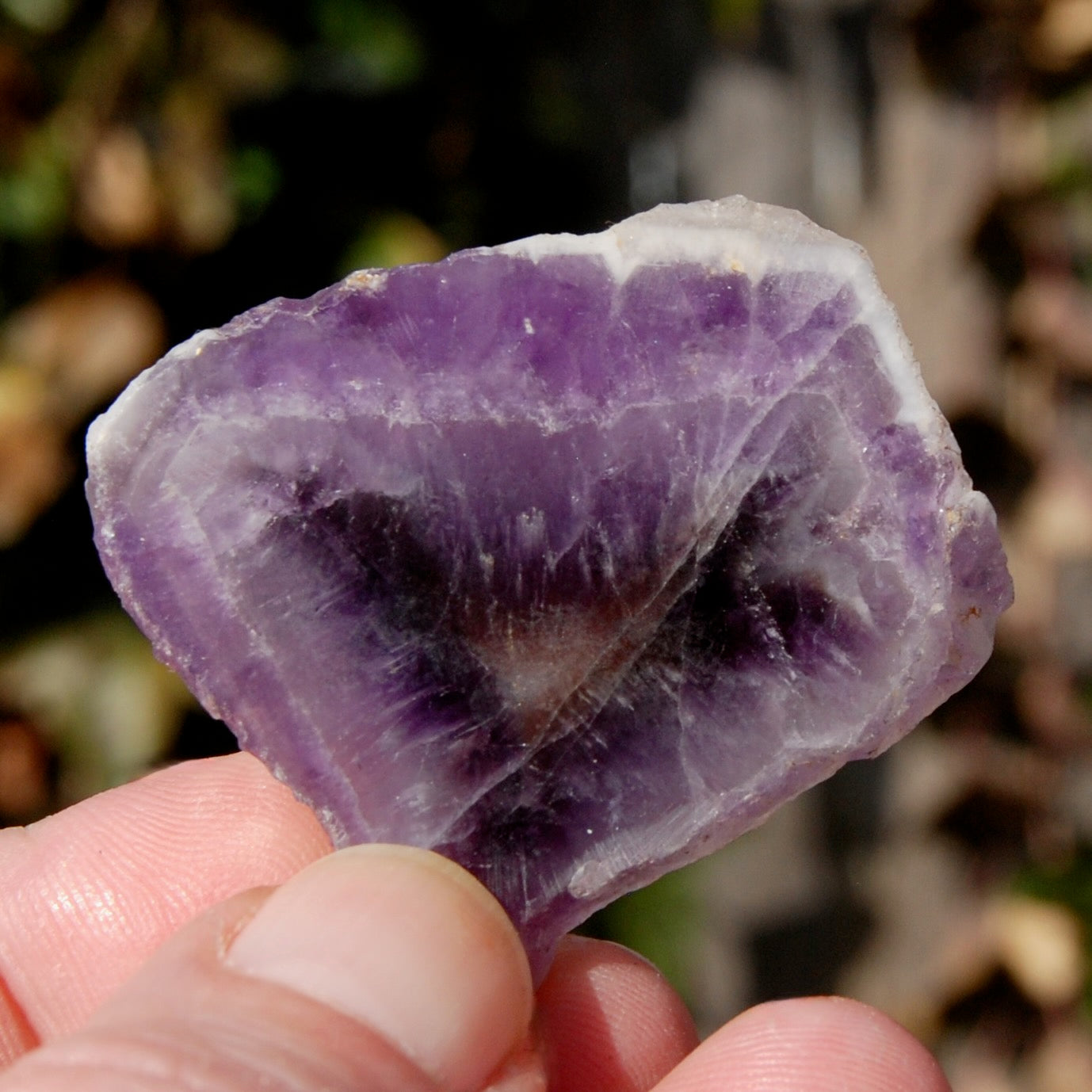 Chevron Amethyst Trapiche Quartz Crystal Slice from Zambia
