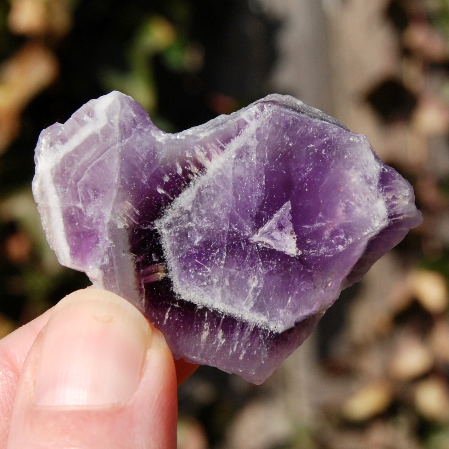 Chevron Amethyst Trapiche Quartz Crystal Slice from Zambia