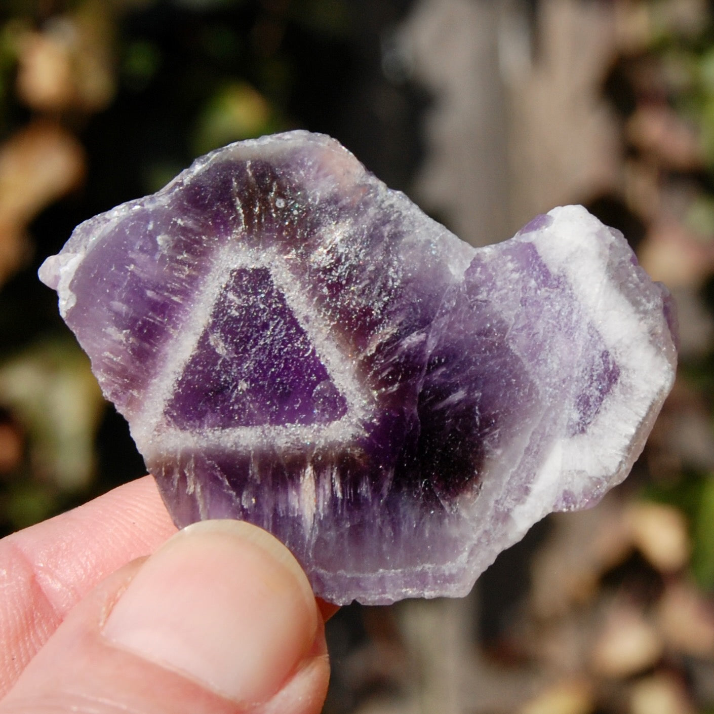 Chevron Amethyst Trapiche Quartz Crystal Slice from Zambia