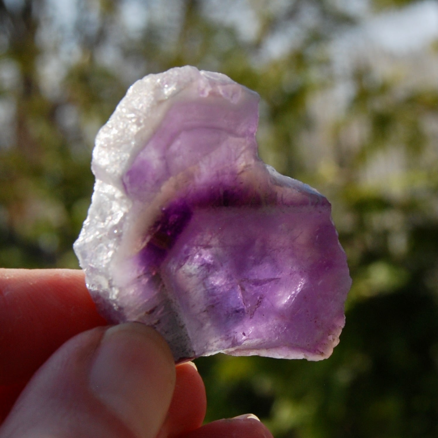 Chevron Amethyst Trapiche Quartz Crystal Slice from Zambia