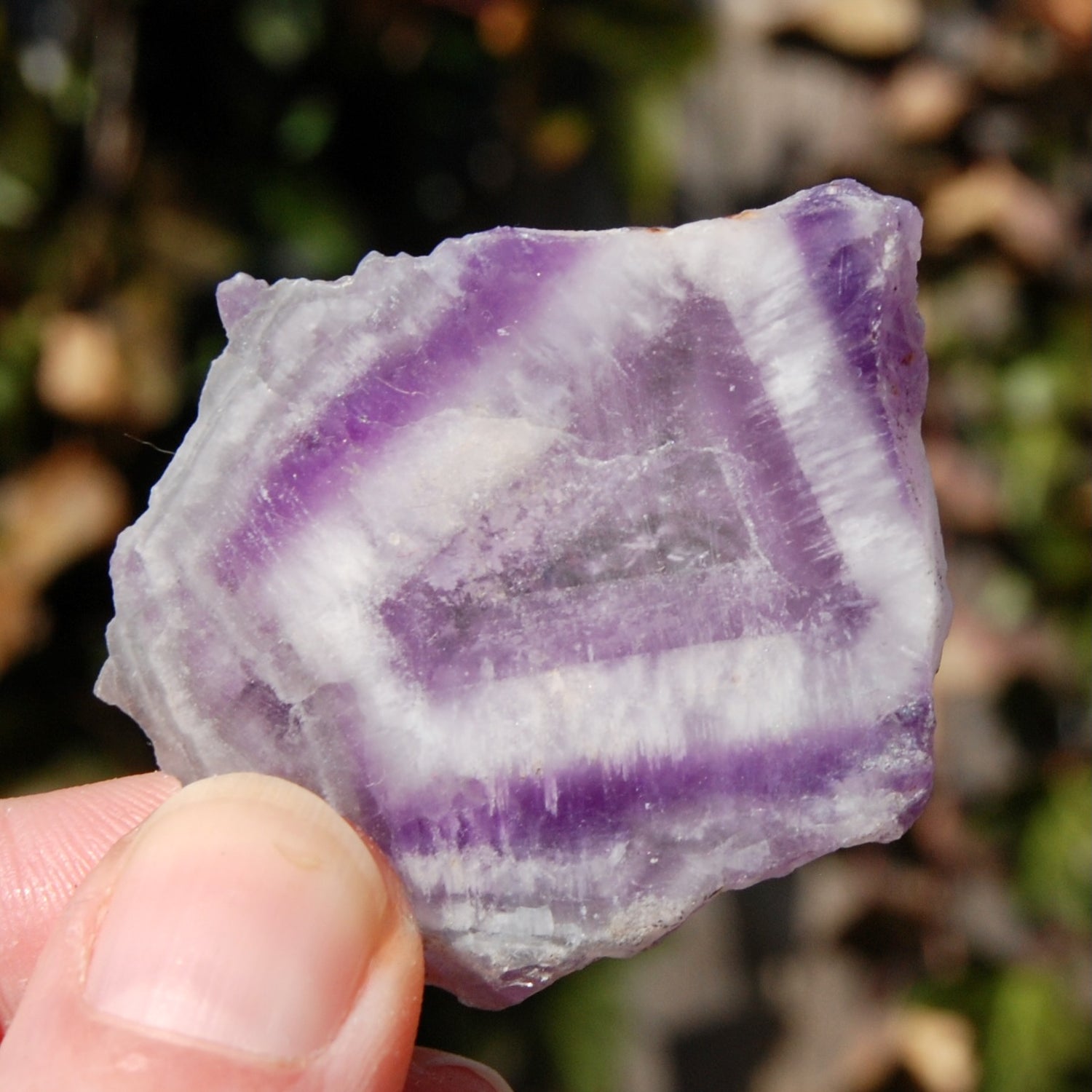 Chevron Amethyst Trapiche Quartz Crystal Slice from Zambia