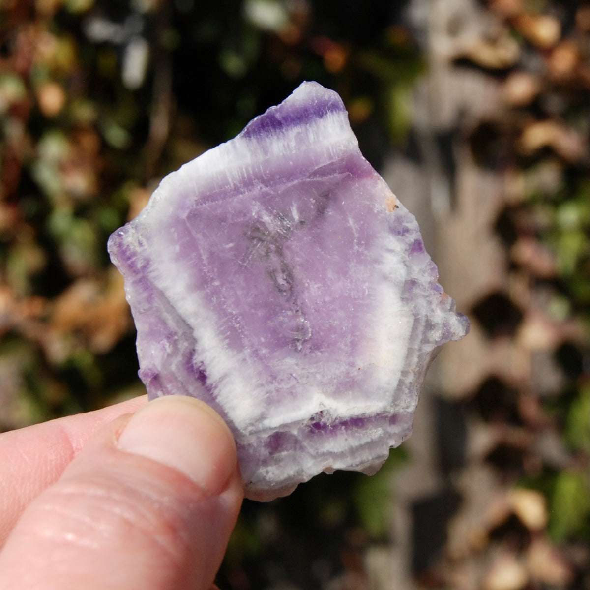Chevron Amethyst Trapiche Quartz Crystal Slice from Zambia
