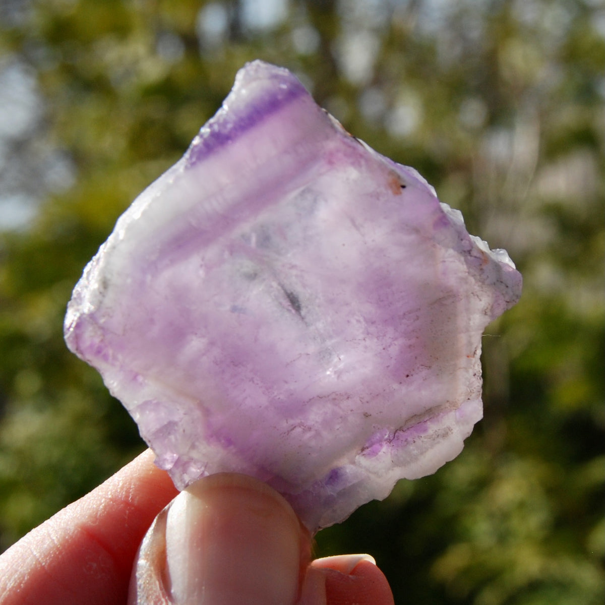 Chevron Amethyst Trapiche Quartz Crystal Slice from Zambia