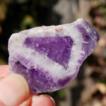 Chevron Amethyst Trapiche Quartz Crystal Slice from Zambia