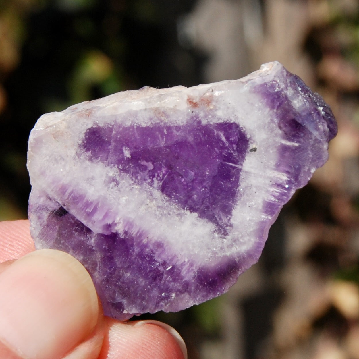 Chevron Amethyst Trapiche Quartz Crystal Slice from Zambia