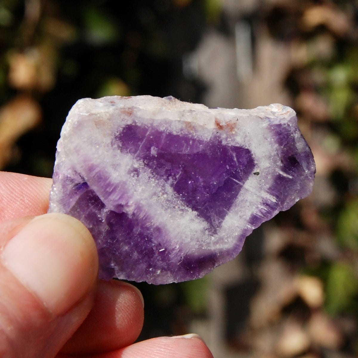 Chevron Amethyst Trapiche Quartz Crystal Slice from Zambia