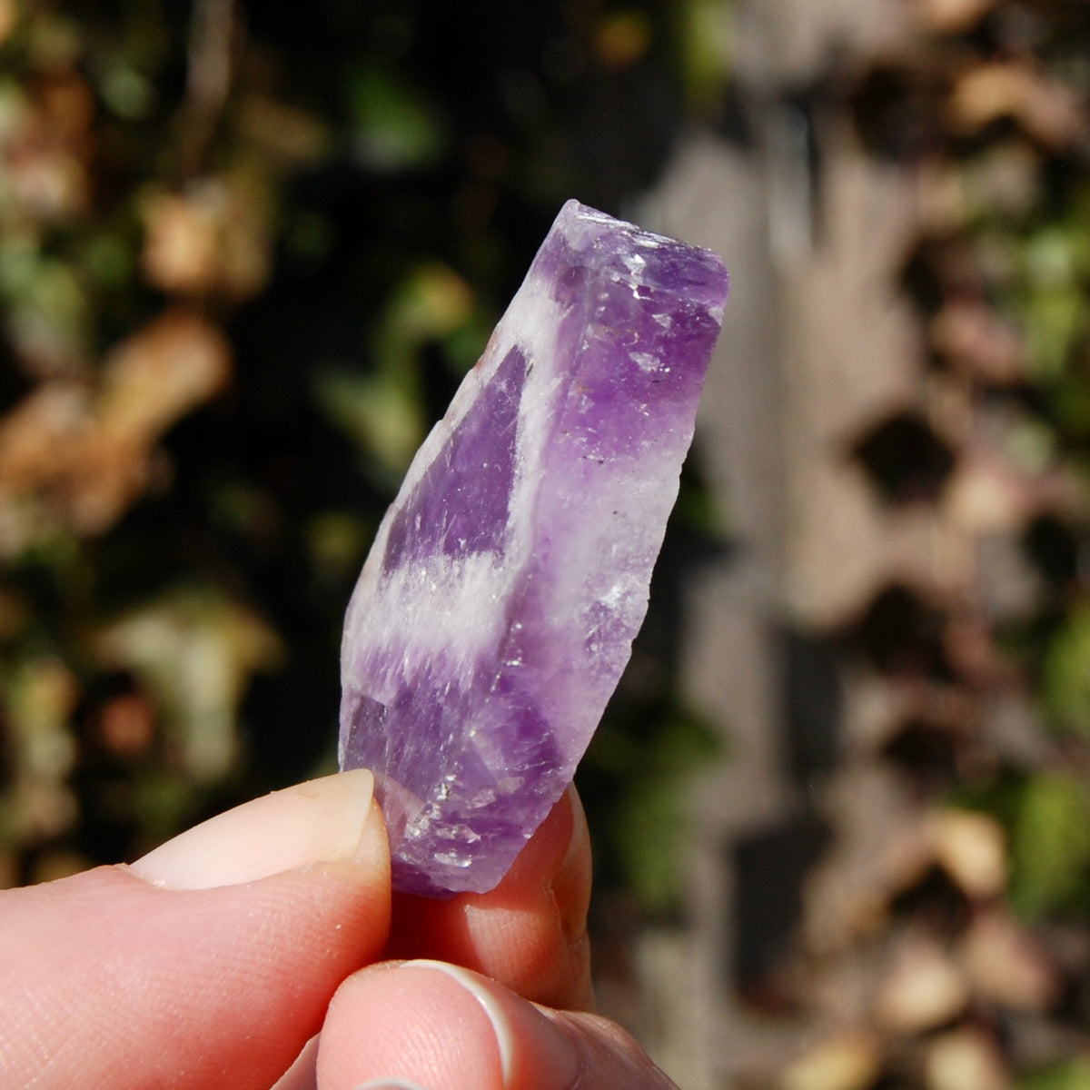 Chevron Amethyst Trapiche Quartz Crystal Slice from Zambia