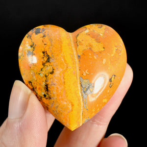 Bumblebee Jasper Heart