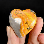 Bumblebee Jasper Heart