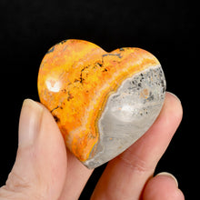 Load image into Gallery viewer, Bumblebee Jasper Heart
