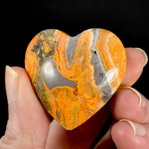 Bumblebee Jasper Heart