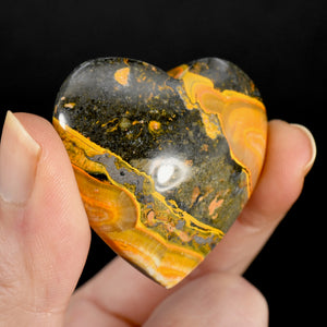 Bumblebee Jasper Heart