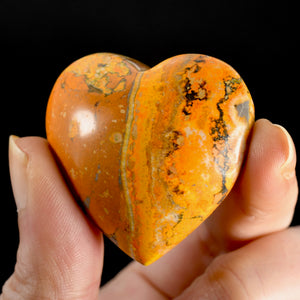 Bumblebee Jasper Heart