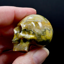 Load image into Gallery viewer, Bumblebee Jasper Carved Crystal Skull
