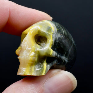 Bumblebee Jasper Carved Crystal Skull