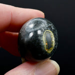 Bumblebee Jasper Carved Crystal Skull
