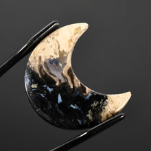 Load image into Gallery viewer, Fossil Palm Root Moon Cabochon
