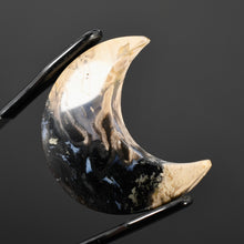 Load image into Gallery viewer, Fossil Palm Root Moon Cabochon
