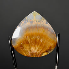 Load image into Gallery viewer, Golden Sagenite Rutile Agate Teardrop Cabochon
