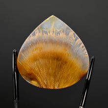 Load image into Gallery viewer, Golden Sagenite Rutile Agate Teardrop Cabochon
