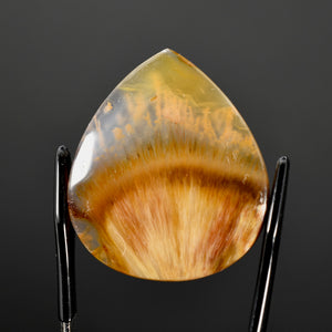 Golden Sagenite Rutile Agate Teardrop Cabochon