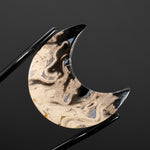 Fossil Palm Root Moon Cabochon