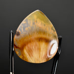 Golden Sagenite Rutile Agate Teardrop Cabochon