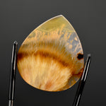 Golden Sagenite Rutile Agate Teardrop Cabochon